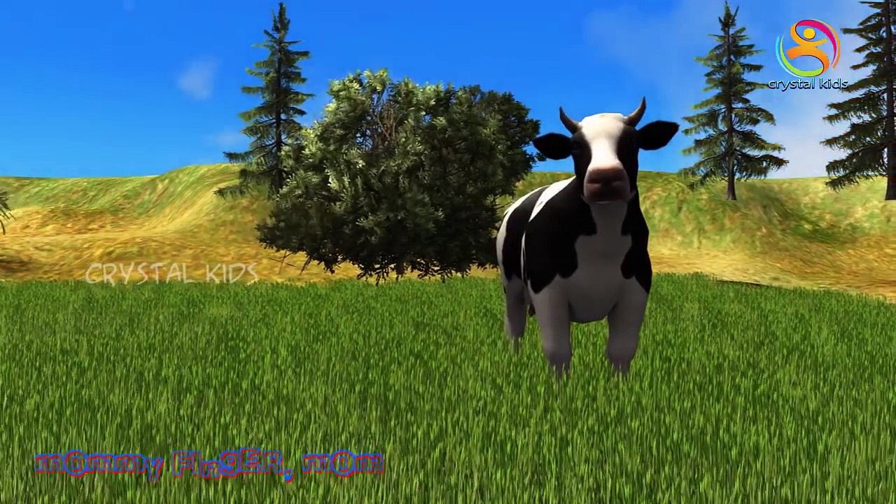 3d Animals Finger Family Nursery Rhymes | Learn About Animals