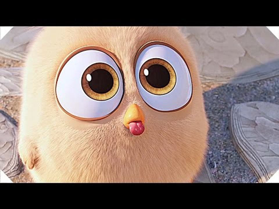 ANGRY BIRDS - "Coucou !" - Extrait # 4 VF