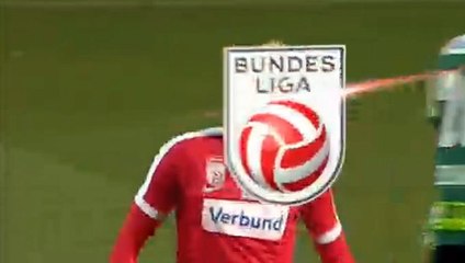 Raphael Holzhauser Goal HD - Ried	0-1	Austria Vienna 04.03.2017