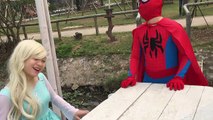 Spiderman Pink Spidergirl Hulk vs Dinosaurs Venom ! Frozen Elsa Anna vs Joker Superhero In