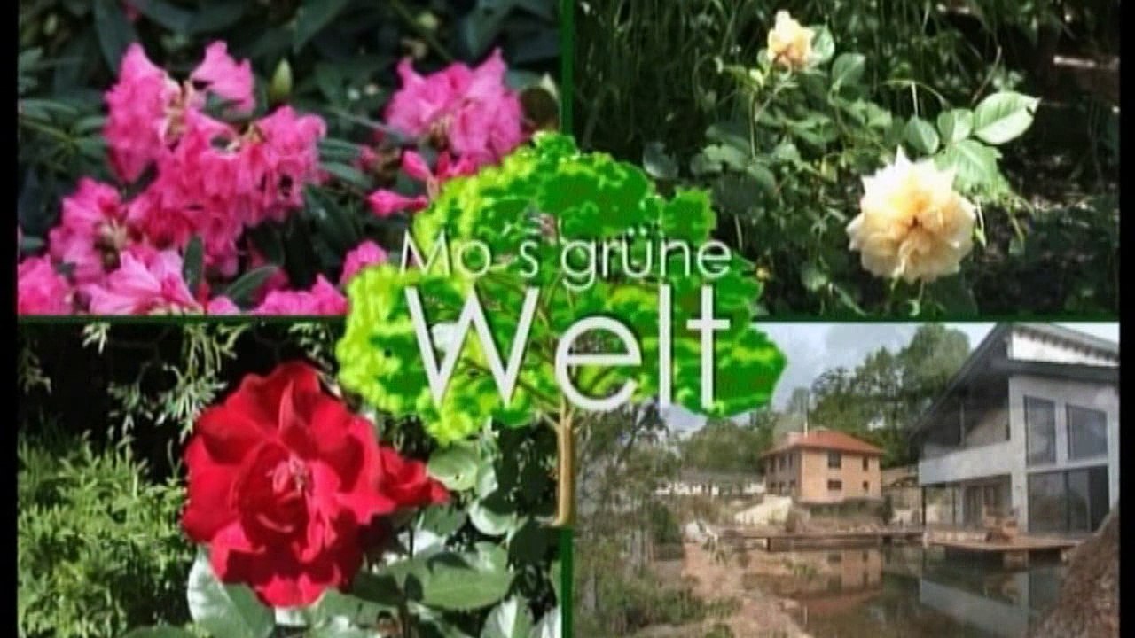 Mo's grüne Welt: '1-2-3 Der Frühling kommt!'