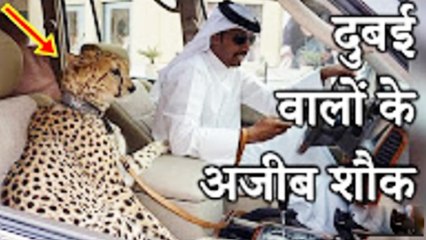 ये अजीब चीज़ें सिर्फ आपको दुबई में मिलेंगी  Weird Things you will only see in Dubai Hindi