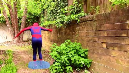 Spiderman & Elsa become Zombies! w/ Snow White: Funny superhero video in real life