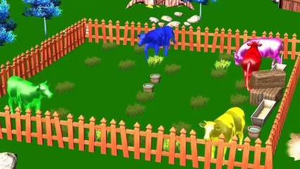 Colors Gorilla Lion Tiger Horse Eagle Cartoon Kids Videos 3D Animation Short Film For Chil