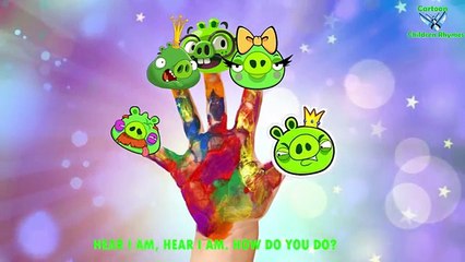 BAD PIGGIES Finger Family Nursery Songs By MY FINGER FAMILY RHYMES