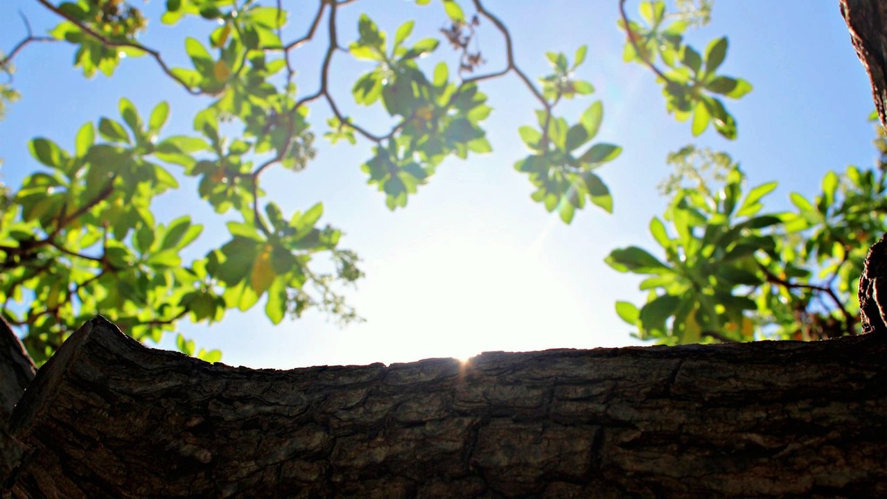 Cendrine Marrouat Photography - Documenting Life's Little Things