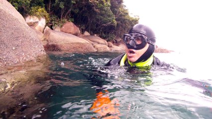 Apneia, navegando, Mergulhando nas profundezas, vida submarina, Ubatuba, Natureza Sub, aos mares com carinho, (19)