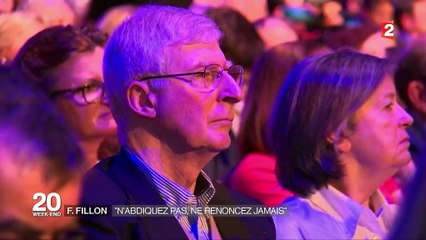 François Fillon : en meeting, le candidat relance son programme politique