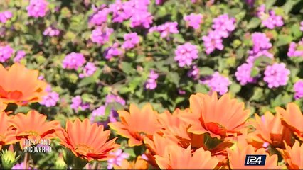 Communities uncovered