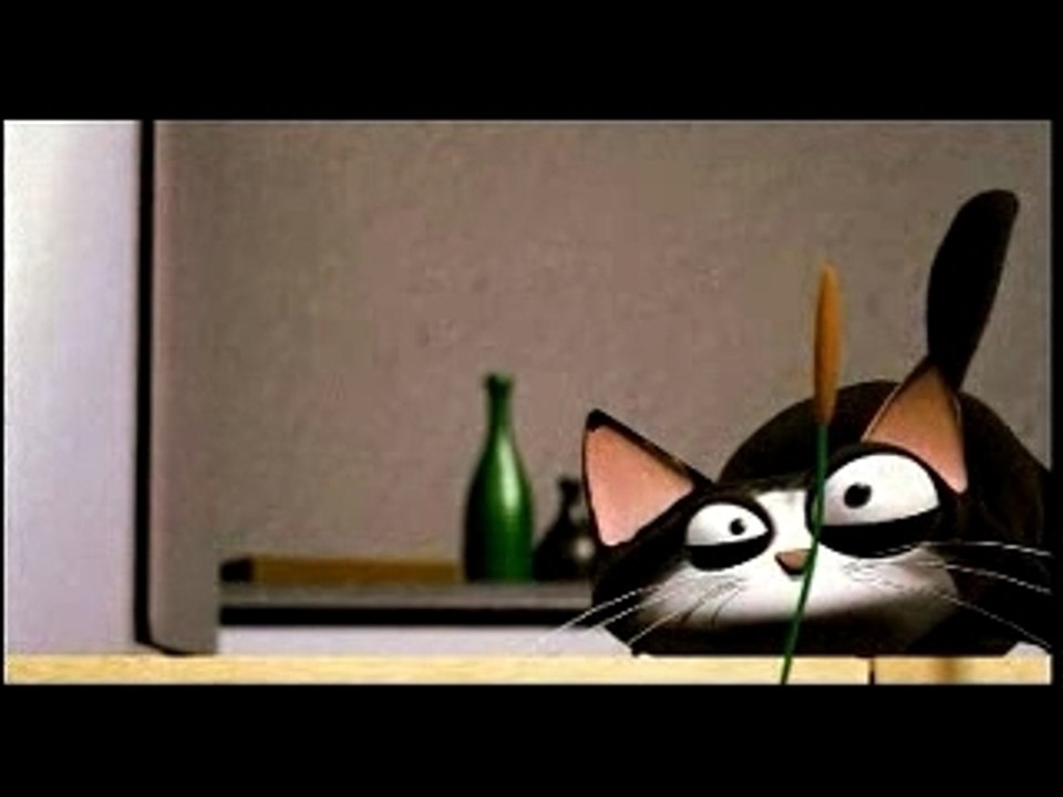 Roger_the_cat