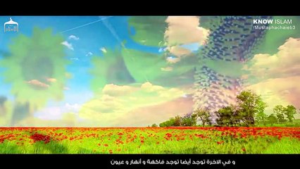 رسالة الدكتور مصطفى محمود