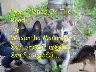 My Friends On The Road...by Wasantha Manamperi - (56)
