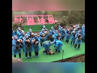 Il est très difficile de prendre en photos 23 bébés panda en même temps !