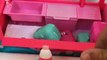 NAME THAT SHOPKIN CHALLENGE! All Seasons Shopkins - Surprise Shopkins Prizes - Toy Opening