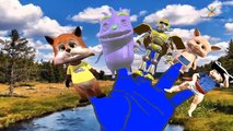 Cortoon Fox rimas para la crianza de los niños rimas animados Divertido a los niños canciones