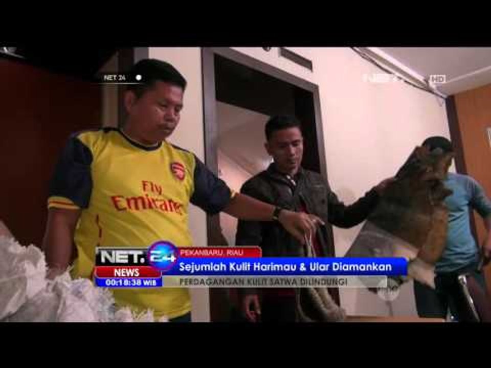 Polisi Gagalkan Perdagangan Kulit Satwa Dilindungi di Riau - NET24