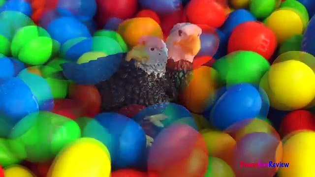 SAFARI LTD VENOMOUS CREATURES AND RIVER ANIMALS TOOB CANDY SURPRISES SNAKES FROGS EAGLES CENTIPEDES