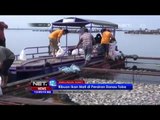 Ribuan Ikan Mati di Perairan Danau Toba - NET12