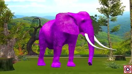 Dinosaurs Vs Lion Vs Elephant Finger Family Songs | Animals Finger Family Plus More Nursery Rhymes
