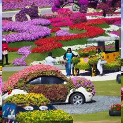 Miracle garden Dubai.