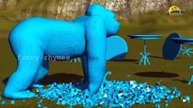 Gaint Gorilla Color Songs - 3D Animation Learning Colors Nursery Rhymes