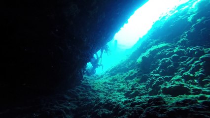 Under the Sea - Stylish