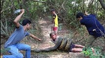 Human And Children dig- Sockets- catch vicious- Cobra snake at siemreap