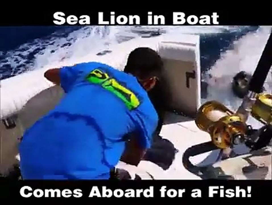 Amazing Fishing Fails In The World 17