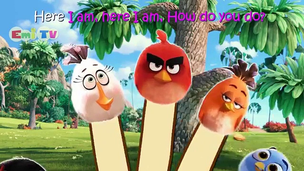 Angry Birds 3D Finger Family Nursery Rhymes Lyrics