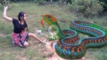 Incredible Girl Catch Snake Using Barrel and deep hole - How to catch water Snake In Cambodia #17