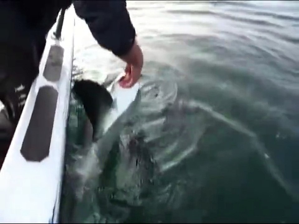 Amazing Fishing Fails In The World 9