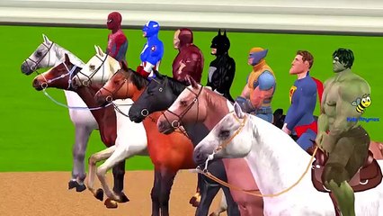 Spiderman Hulk Batman Ironman Captain America Cartoons For Children Horse Racing Videos Ca