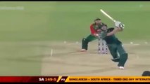 Top 10 - Best Catches In Cricket History Ever - Impossible Catches