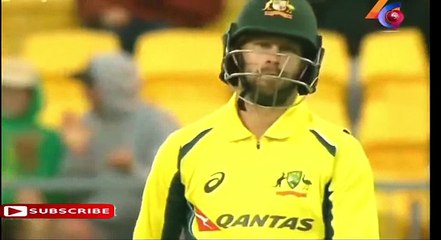 Top 10 One-Handed Catches in Cricket of All Time ● Best Catches in Cricket history