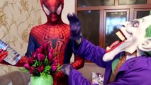 Spider Frozen Elsa Kisses Hulk Prank! w/ Snow White Rapunzel Spidergirl Joker & Anna! Toy