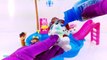 Finding Dory Disney Frozen Bath Paint Pool Party Toy Surprises Learn Colors with Paw Patro