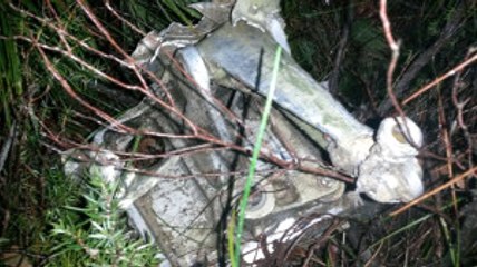 Düşen Suriye Uçağının Enkazına Ulaşıldı