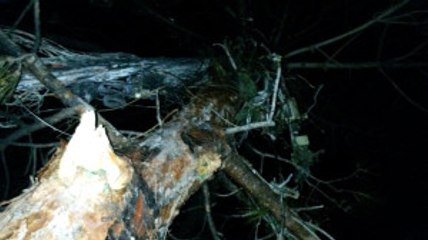 Düşen Uçağın Suriyeli Pilotu Bulundu