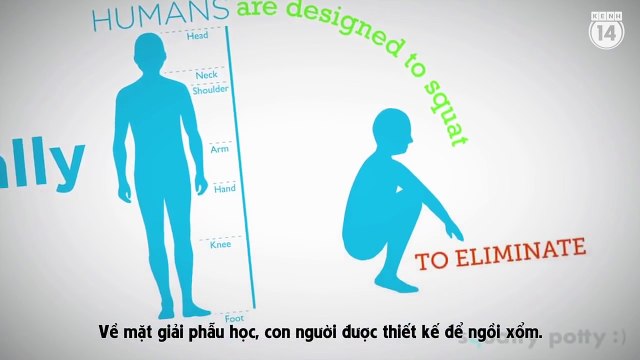 Cách đi cầu đúng cách - Phòng ngừa bệnh trĩ