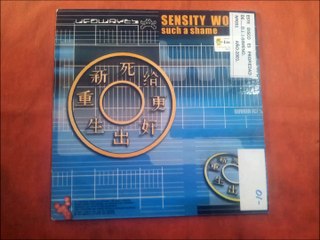 SENSITY WORLD.(SUCH A SHAME.)(12''.)(2001.)
