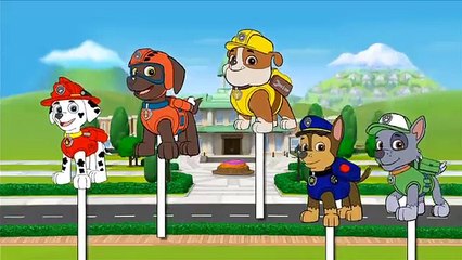 Щенячий патруль Finger семья анимация потешки песни с яиц с сюрпризом для детей