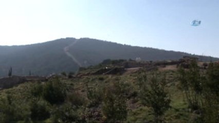 Baharın Müjdeleyicisi İstanbulensis Çiçeği Açtı