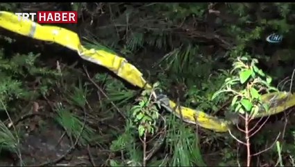 Düşen Suriye uçağına ait enkaz