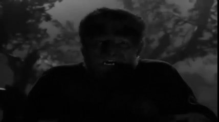 33.The Wolf Man Top Horror Villains Antiheroes