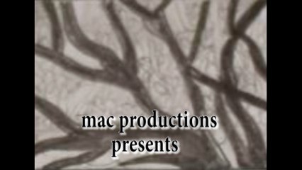 AS Media Studies film opening "THE MASQUERADE" Animatic!