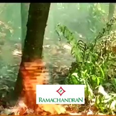 പശ്ചിമഘട്ടം കത്തിയെരിയുന്നു #AnweshanamKerala