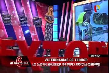 Veterinarias del terror: cuando un simple baño se vuelve una pesadilla