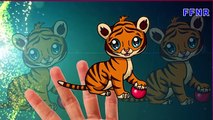 Tiger Family | Tiger Finger Family Nursery Rhymes For Children | Tiger Cartoon Finger Family Rhymes