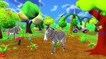 Animals Sounds For Children - Learn Sounds Of Zoo Animals For Children Kids And Babies