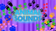 LEARN ANIMAL SOUNDS FUN FOR KIDS and TODDLERS wild and domestic ANIMALS FOR CHILDREN